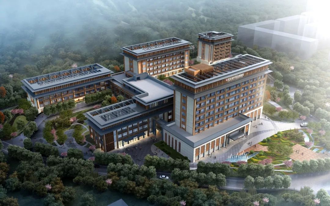 深圳最好的中医医院在哪里,深圳靠谱的中医医院