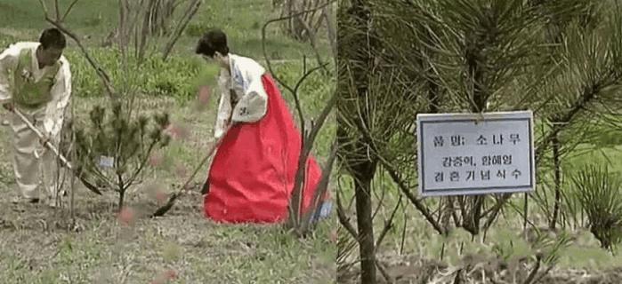 旅游景点给人拍照收费违法吗,去朝鲜旅游导游会给小费吗