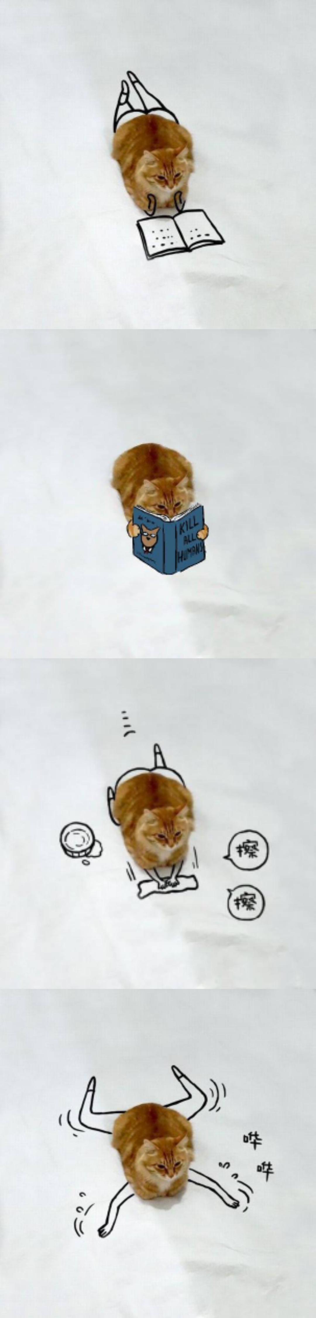 戴上了金箍就要放下七情六欲,今日萌图