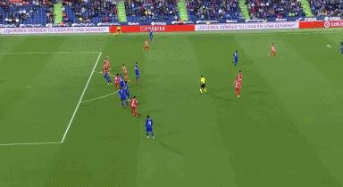 巴洛特利没脑子,我们怎么看懂巴洛特利