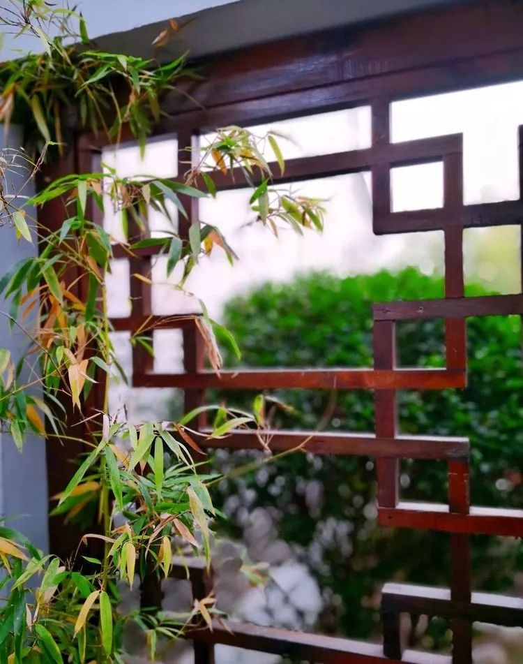 漫随天外云卷云舒免费,漫随天外云卷云舒抖音