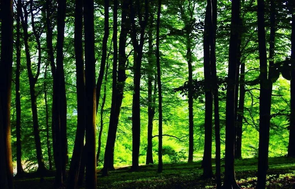 精神萎靡感冒,精神病人感冒了怎么办