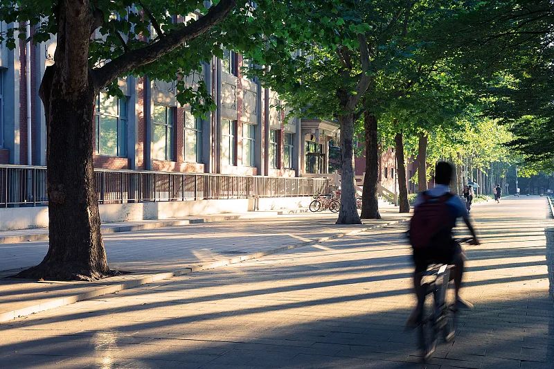 在北大当教授的条件,在北大数院成为一个普通人