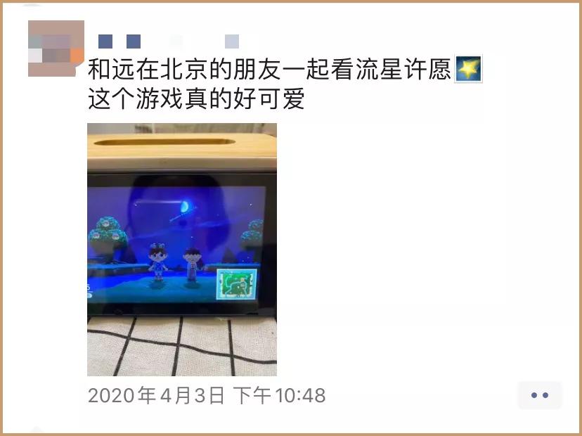 开服15天,我玩《动物森友会》总结的39条教训