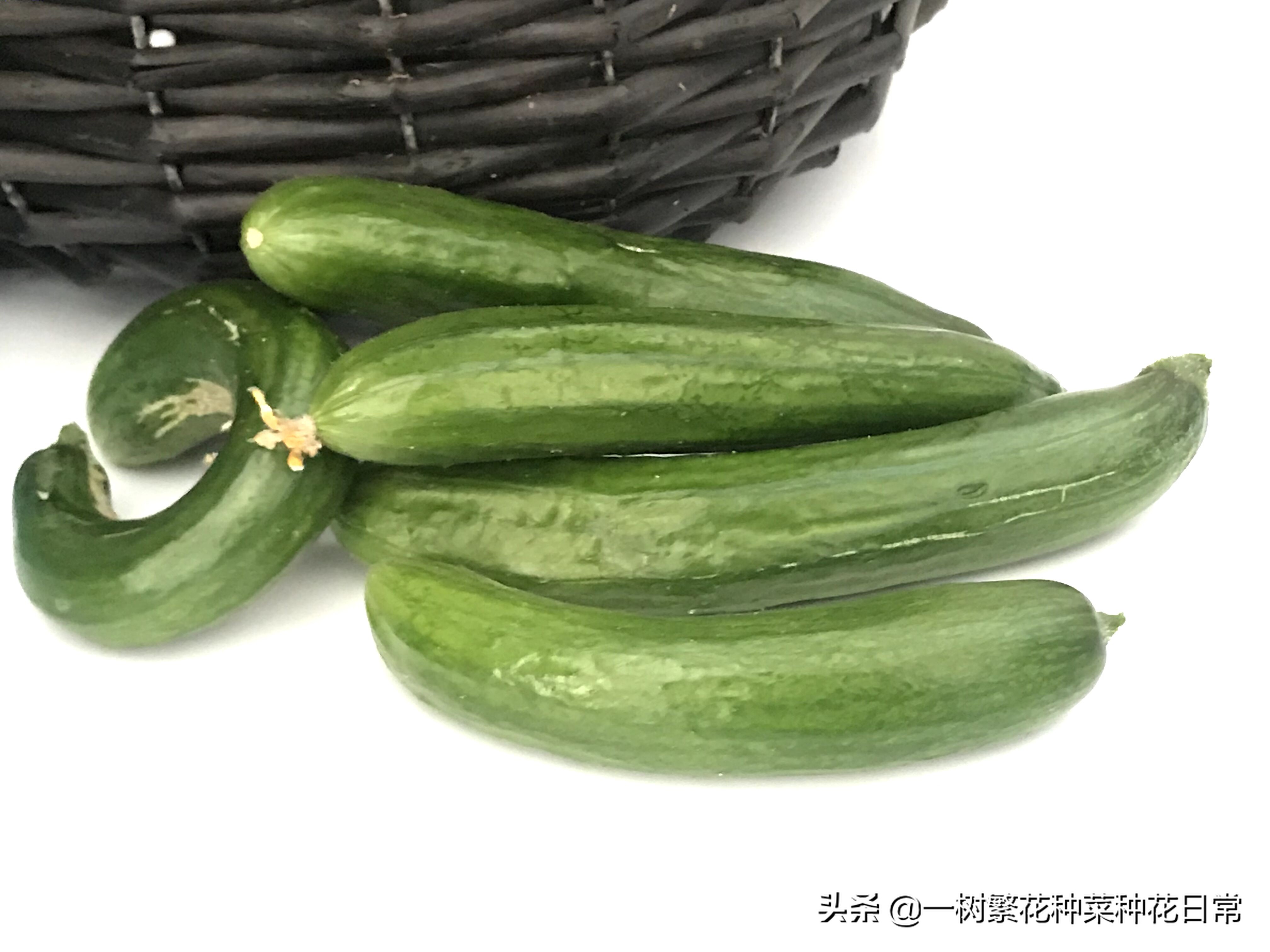 为了家人健康该怎么做,家养花卉如何防治病虫害小妙招