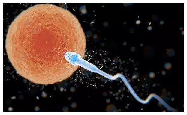 “宝贝,妈妈历经艰辛只为遇见你!”揭秘试管婴儿培育全过程