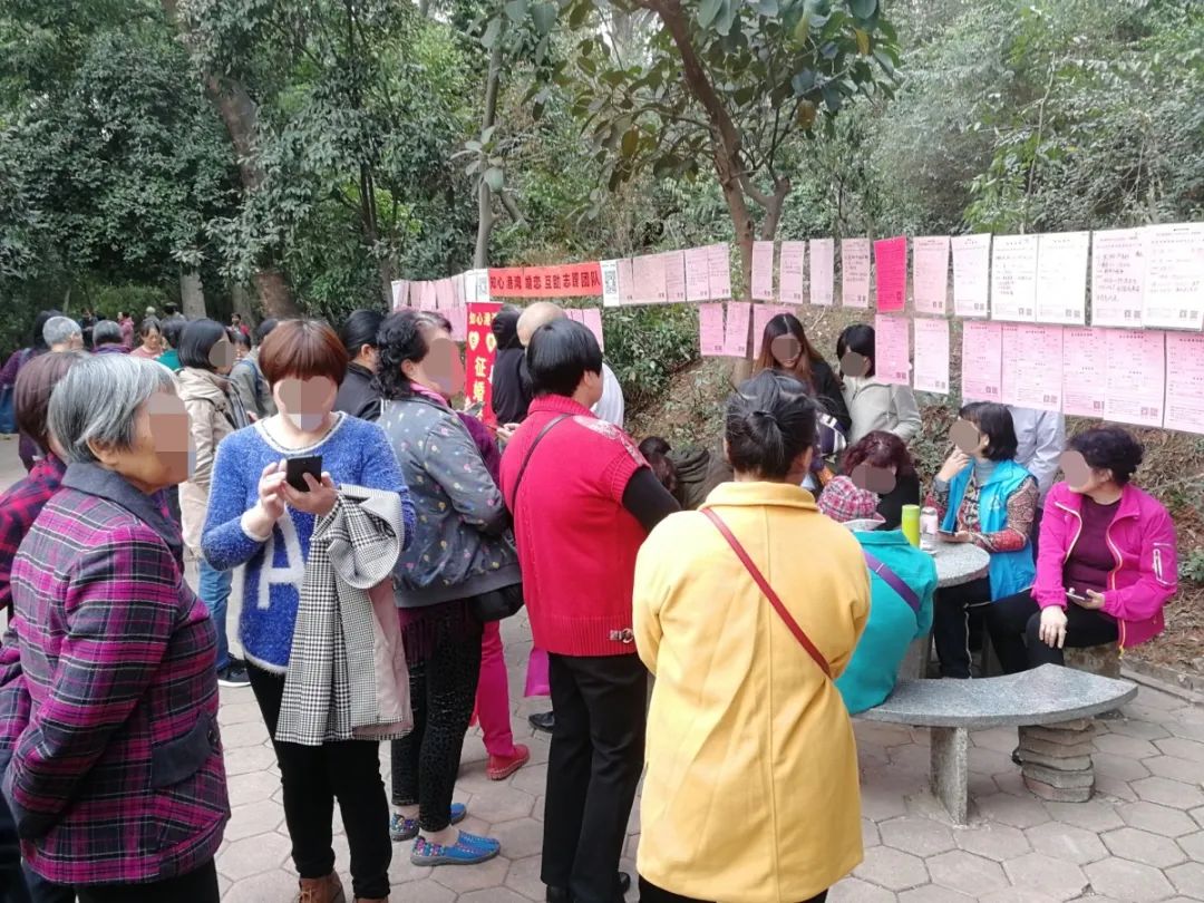 防骗悬疑剧《猎心者》热播中，中老年人更需要提高防骗意识！