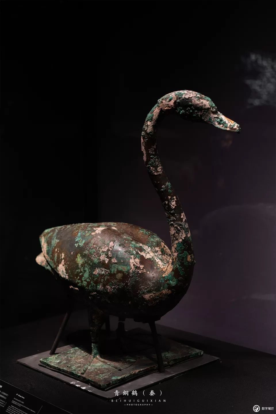 一起去博物馆发现古老的神器,陕西历史博物馆游览全攻略