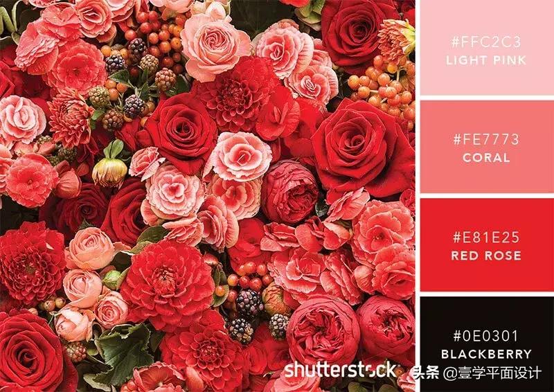 设计师钟爱的9组高级感配色方案,家装设计师配色方案色卡