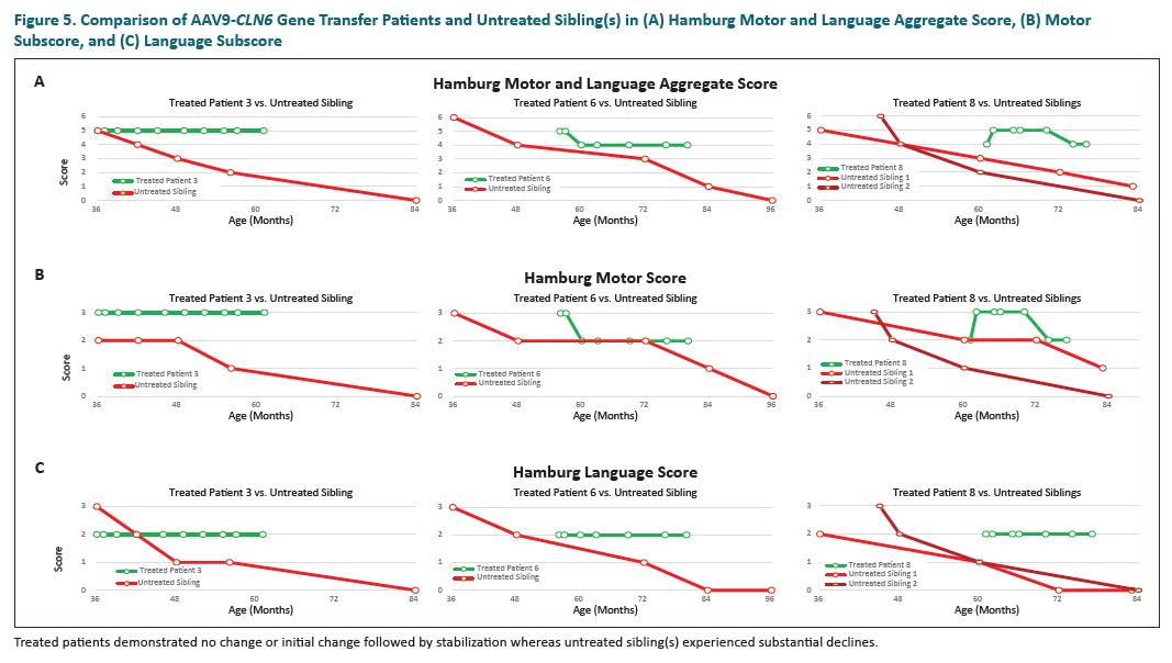 脑科学日报|研究：青少年时的性格或与晚年时患痴呆症的风险有关