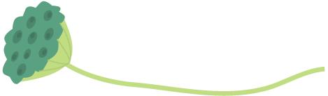 在三明夏天去哪玩,三明荷花最佳观赏地