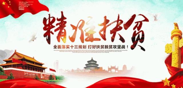 新乡专业足球场,新乡体育中心足球草坪换了吗