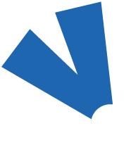 放弃高薪回村卖农产品,芋苗大规模种植