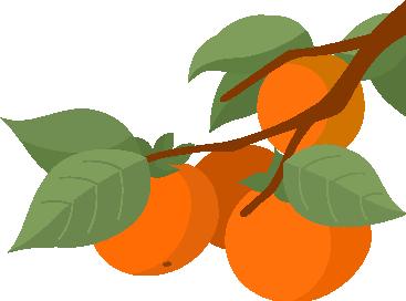 没看错，这场比赛选手平均年龄超70！