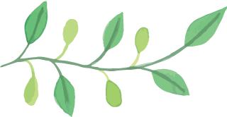 中欧基金郭睿最新视频,郭睿基金经理的学历