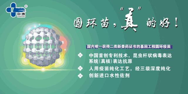 马匹解剖学视频教程,马匹解剖学基础特征