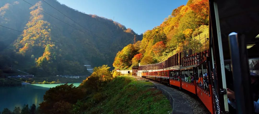 上海赏枫小众景点,小众赏枫