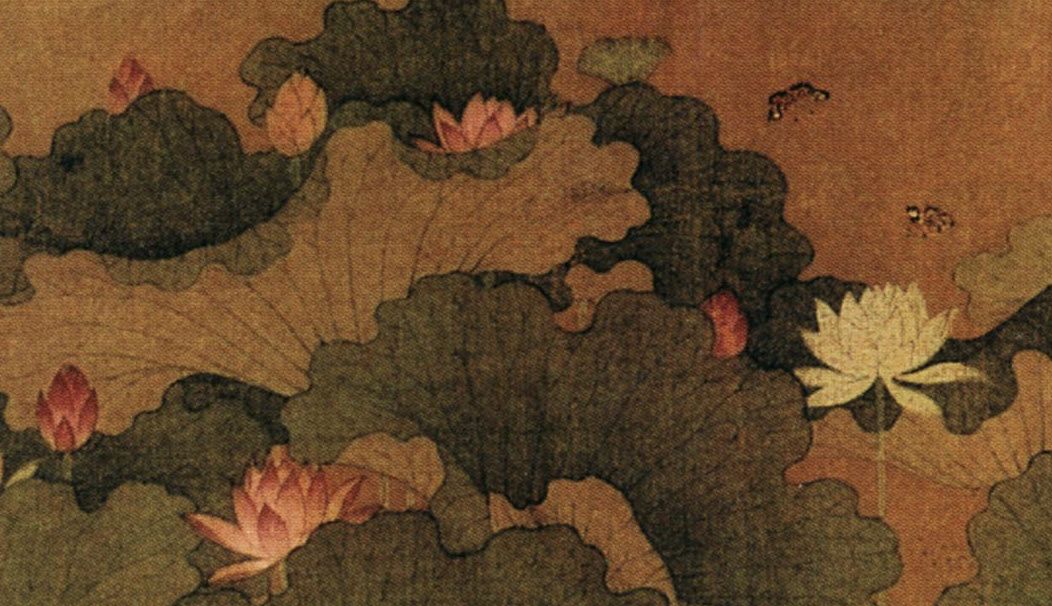 故宫百年荷花开花,北京故宫荷花开了么