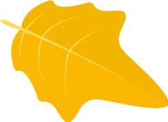 （第2701例）在“*子骗**”帮助下团圆的一家人——徐瑶瑶寻家