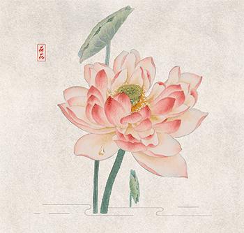 牛油果一个18块,牛油果的商业内幕