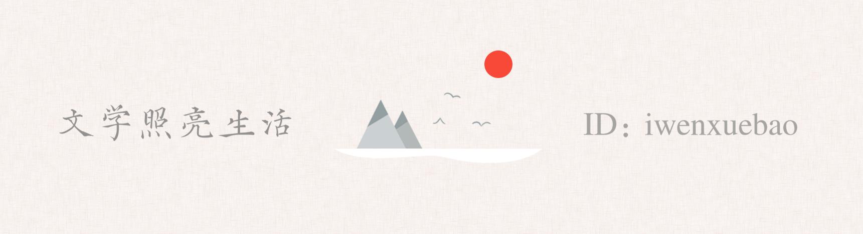 撞死了一只羊要表达的主题,撞死了一只羊的意义