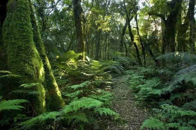三亚豪华无边泳池别墅,三亚温泉度假