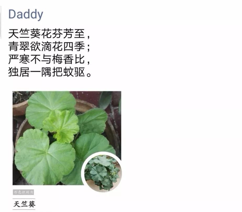 「晋江囧仙」把男朋友拉进家庭群后，他竟和我老爸在群里……