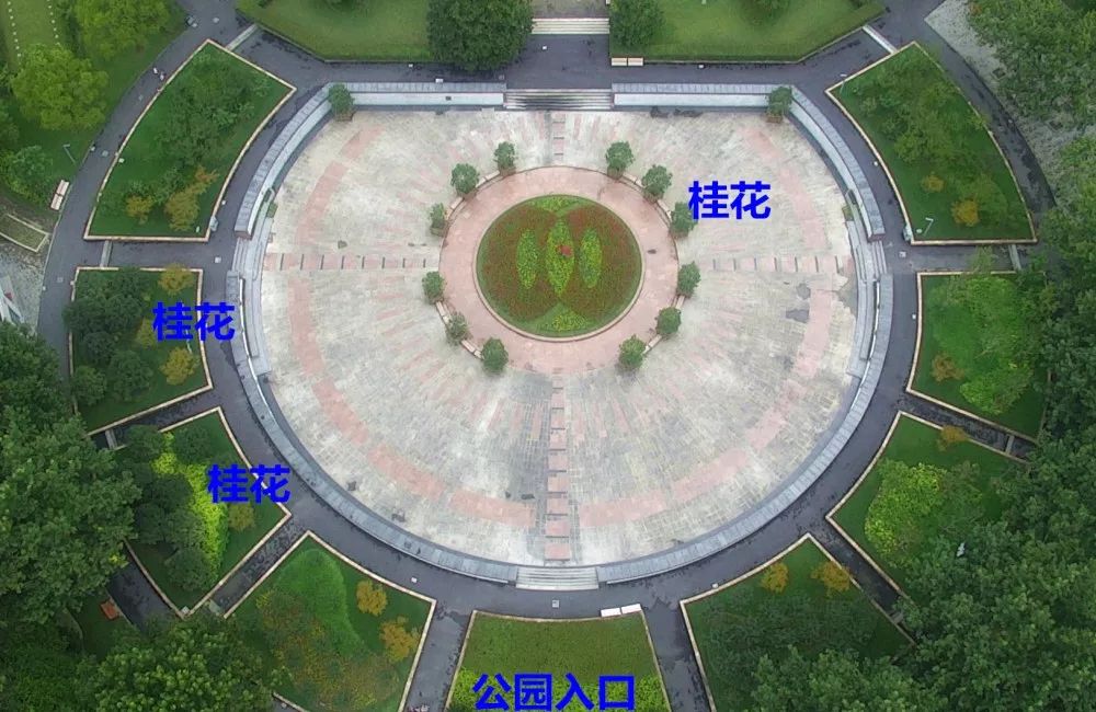 上海赏桂花好去处,江浙沪赏桂哪里去