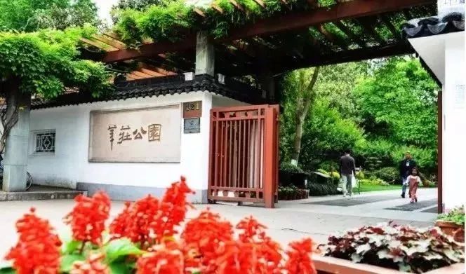 「乐活」寻找秋天的香气,这份赏桂地图请收好~