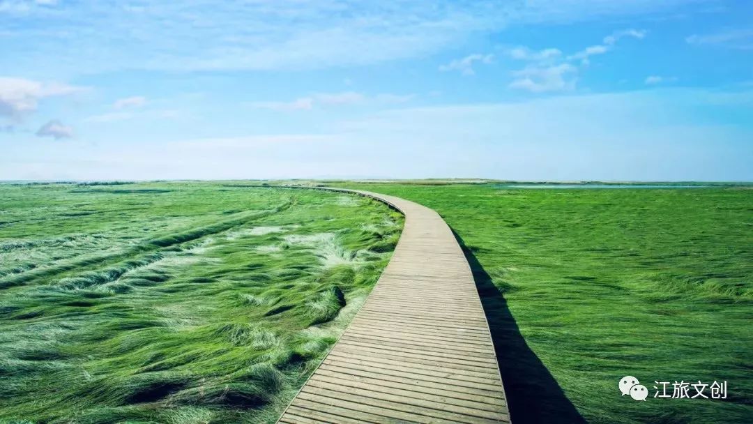 鄱阳湖大草原帐篷展,鄱阳湖国家湿地公园最新视频
