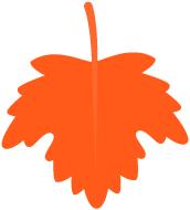 致同学们的一封信四年级,致同学们的一封信柳河县