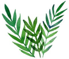 白带是女性健康的重要标志,女人妇科白带的知识