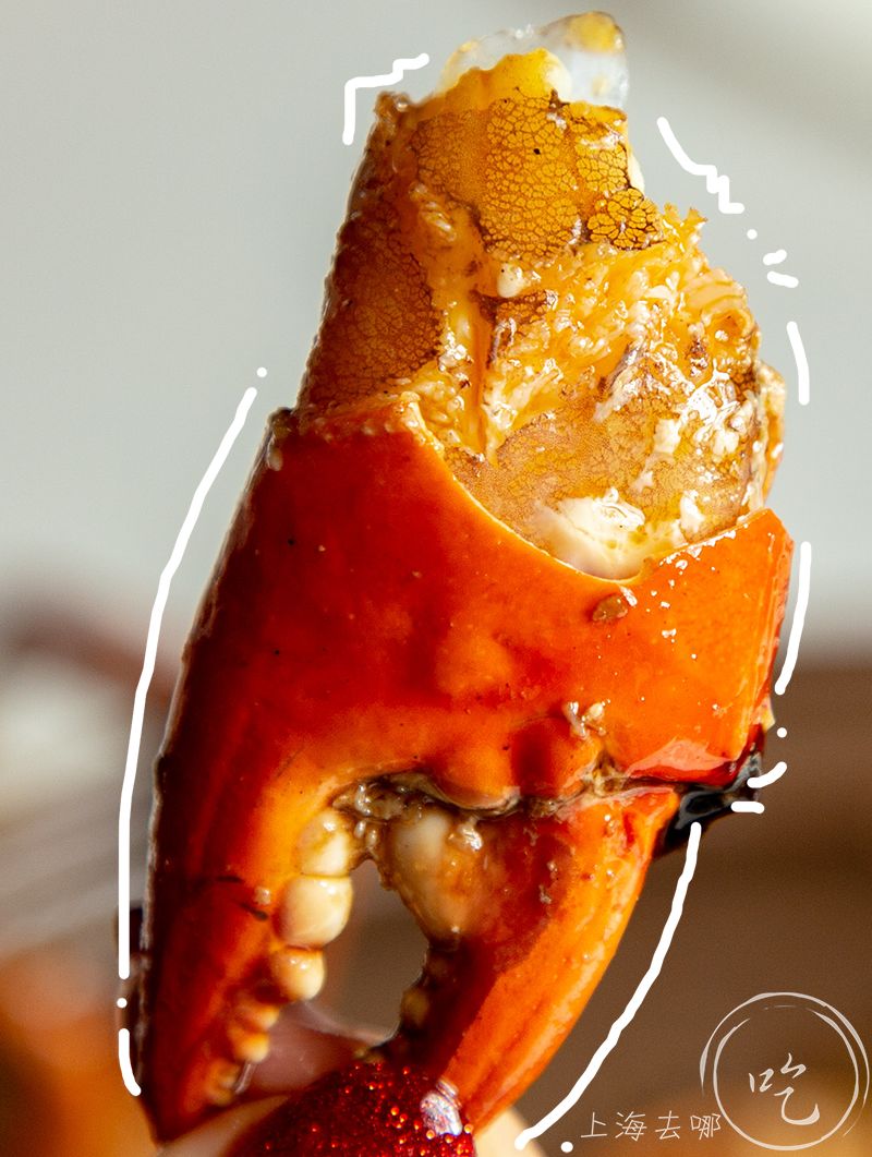 开了23年的黑料界大佬疯了！YSL、TF、Dior大牌口红免费抓！