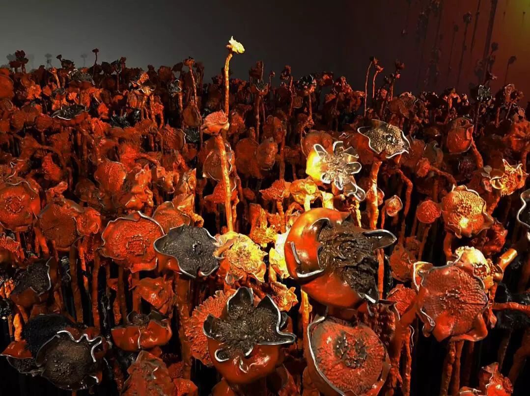 福利｜做不了史诗级锦鲤？那你还可以靠它们来续命！