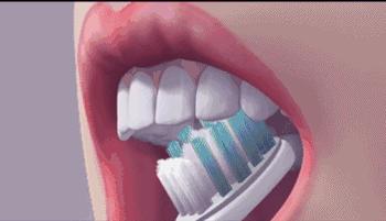 牙膏有哪些误区,牙膏是贵的好还是便宜的好