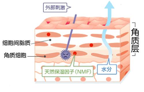 涓庣埍璞嗙殑浜插瘑浜掑姩,鍜岀埍璞嗕簰鍔ㄧ殑鐢滆湝鐬棿