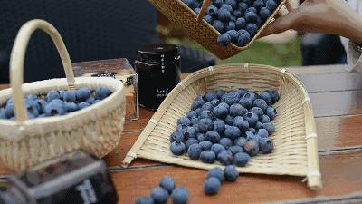 滁州大动作规划,滁州下周有什么发展