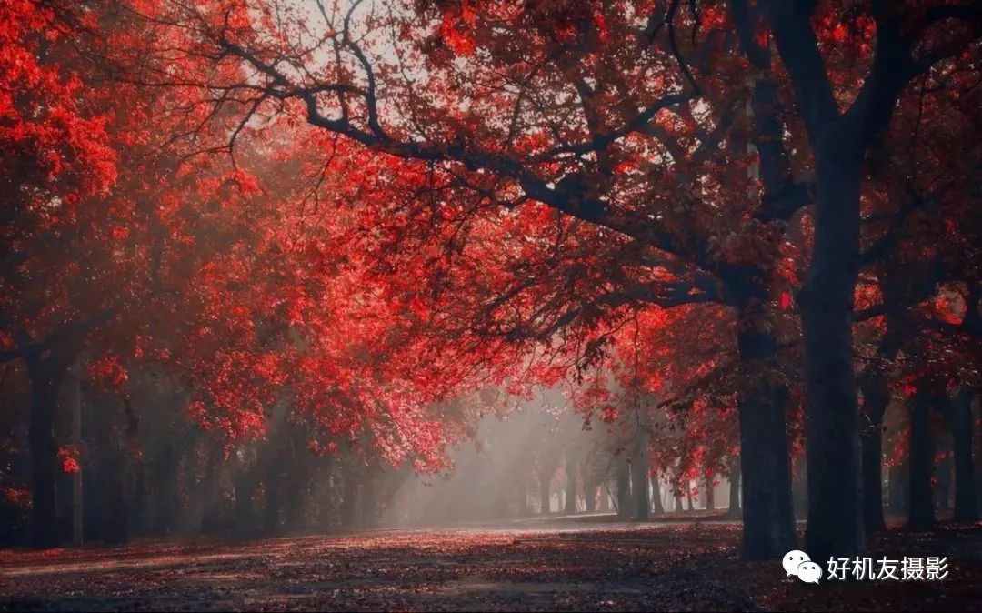 单反相机坏了去哪里维修,相机维修注意事项