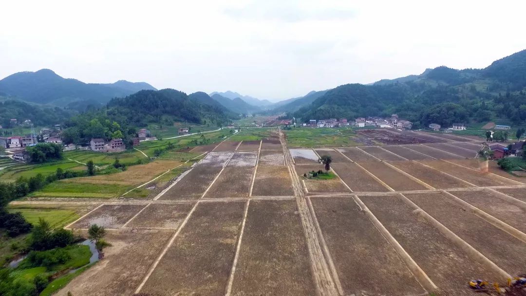 新时代新征程新邻水——书写美丽繁荣和谐邻水新篇章系列报道四川邻水：对标昆山融入重庆加快建设川渝合作先行示范区