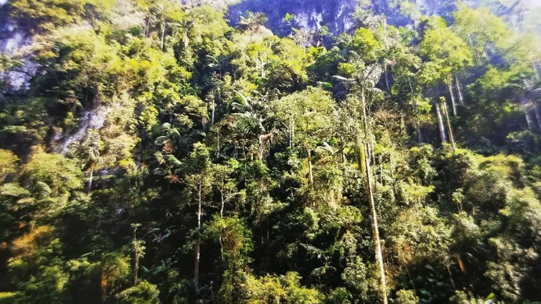 「推荐」刷屏！这是我眼中的边境河口