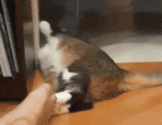 名医有约治脚气秘方,名医在线脚气怎样治疗