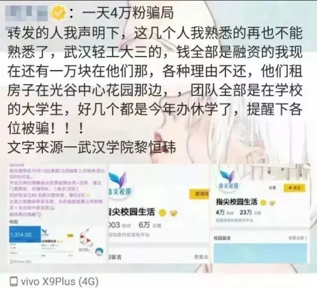 锦鲤为什么那么火,锦鲤为什么火了
