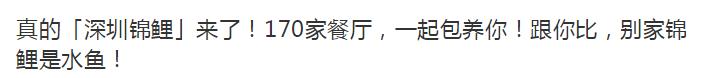 最近锦鲤为什么火了,中国锦鲤怎么火起来的