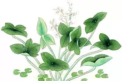 山西鼻炎针灸,山西针灸治疗过敏性鼻炎