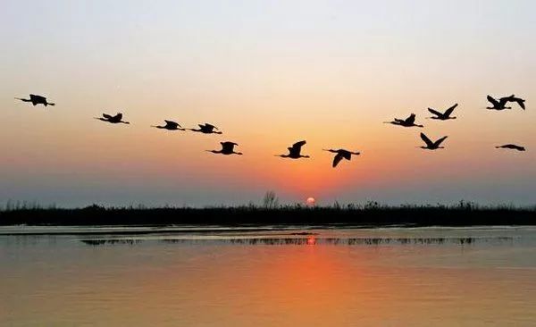 郑州周边适合野炊的地方,郑州野炊烧烤最好去处