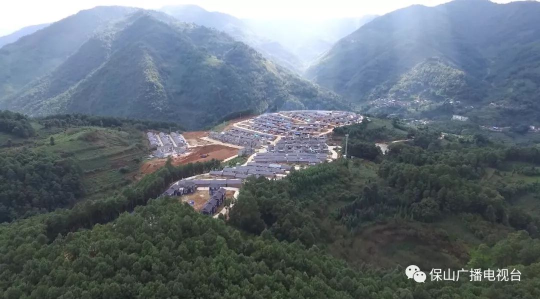 龙陵石斛产业合作,龙陵镇石斛