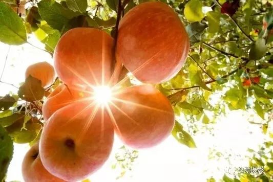 本周五晚上去哪里玩比较好,本周末北京适合去哪里玩