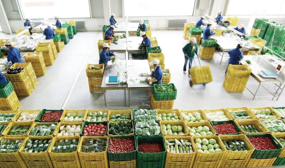 本周五晚上去哪里玩比较好,本周末北京适合去哪里玩