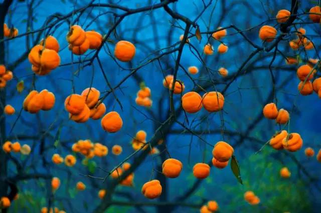 本周五晚上去哪里玩比较好,本周末北京适合去哪里玩