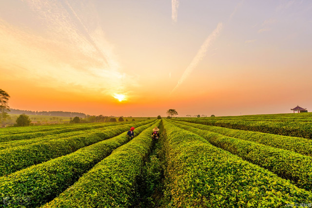 八大山人纪念馆南昌景点必到5处,南昌自驾游必去十大景点